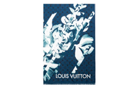 LOUIS VUITTON Silk Scarves Men's Blue