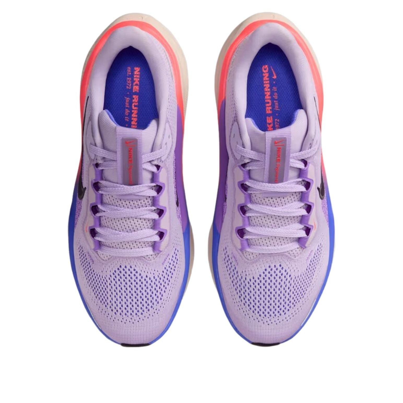 (GS) Nike Air Zoom Pegasus 41 'Violet Mist Purple Dynasty' FN5041-502