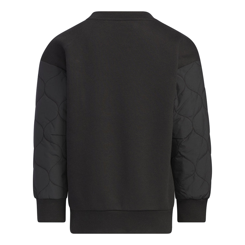 (GS) adidas Graphic Crew Asia Sizing 'Black' IQ1334