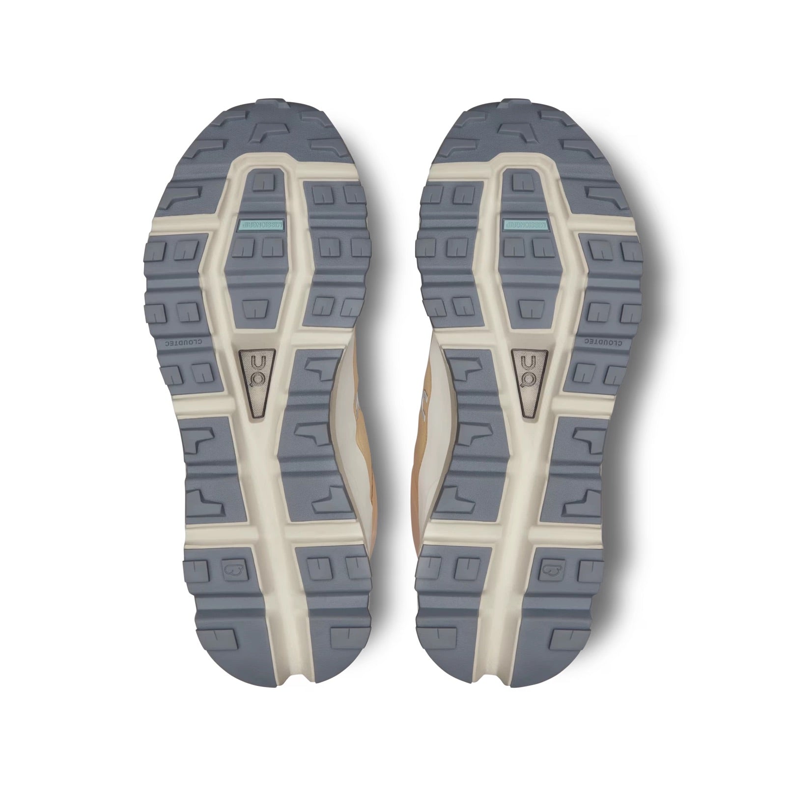 (WMNS) On Running Cloudroam Waterproof 'Pink' 3WD30072120