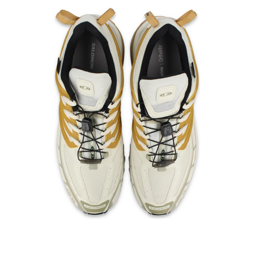 SALOMON ACS Pro Gore-Tex 'Cicle Antelope' 475998