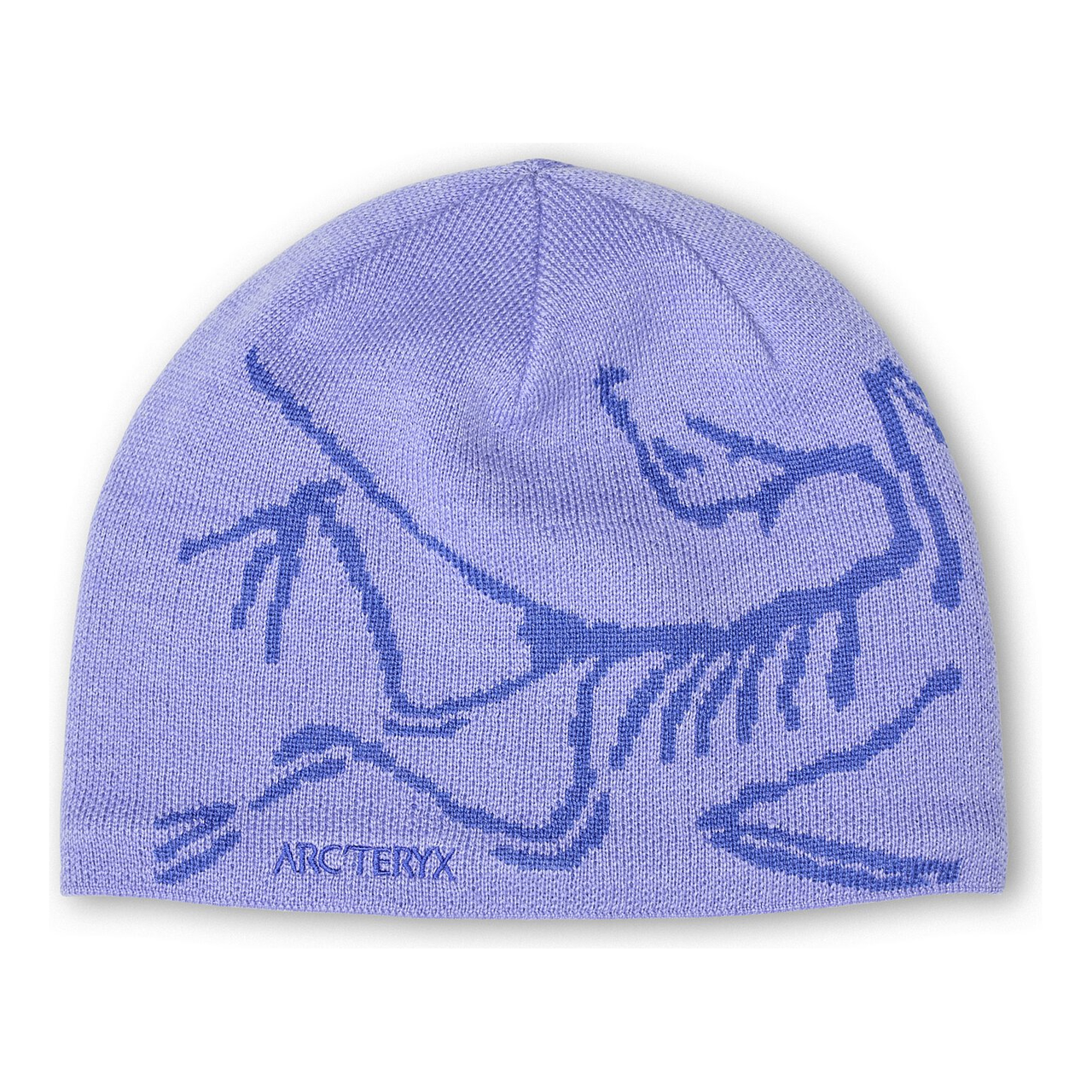 Arc'Teryx Bird Head Toque X000006756-PURPLE