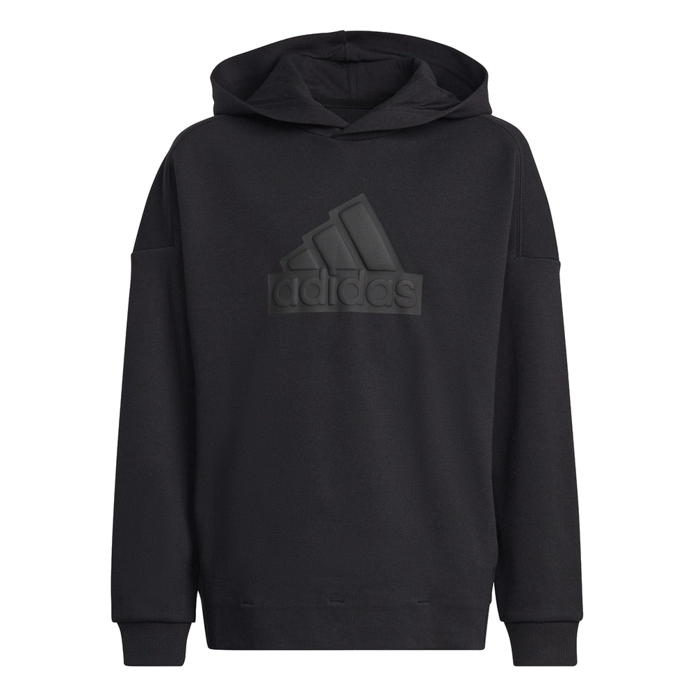 (GS) adidas Future Icons Logo HoodieAsia Sizing 'Black' HR6301