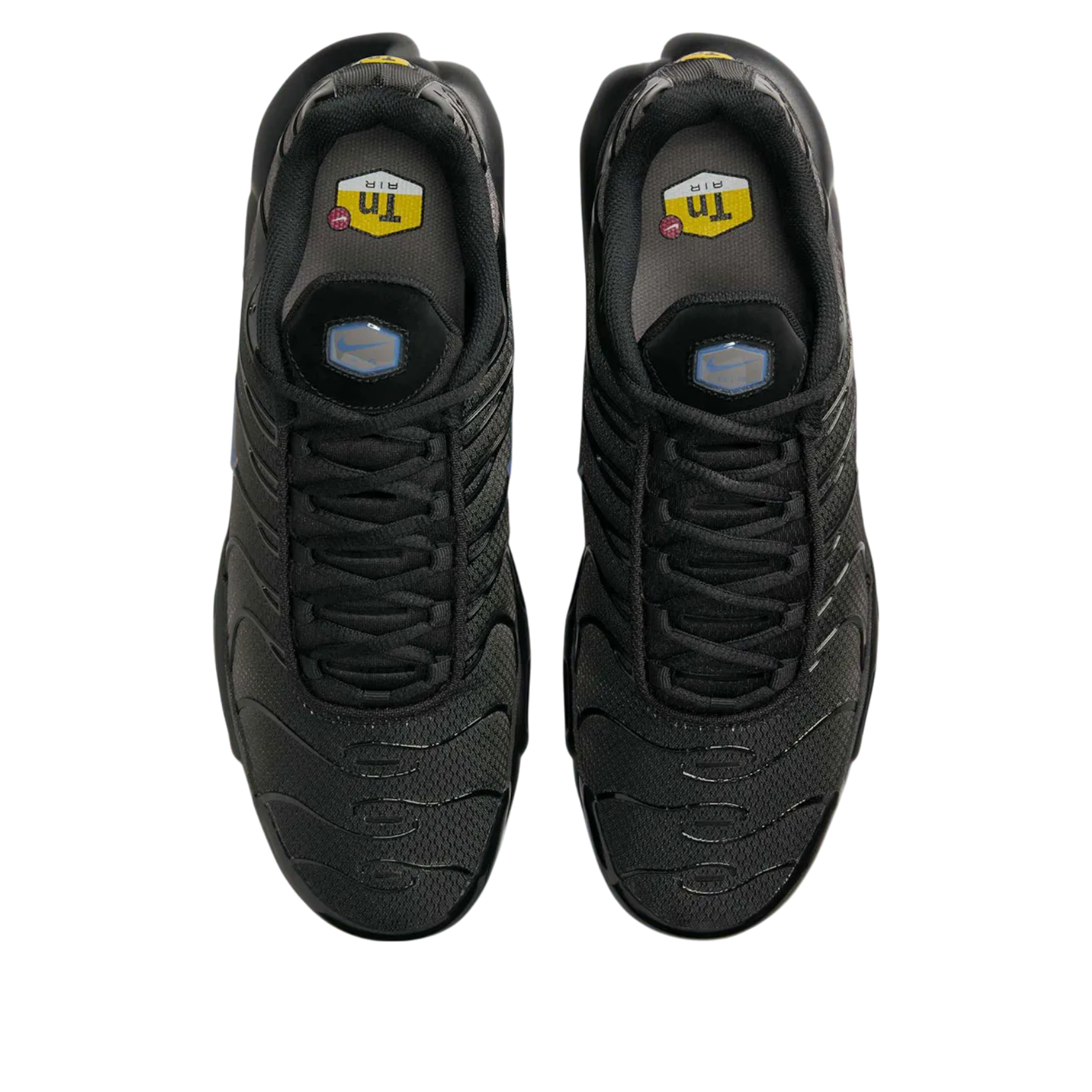 Nike Air Max Plus 'Dark Smoke Grey' DM0032-018