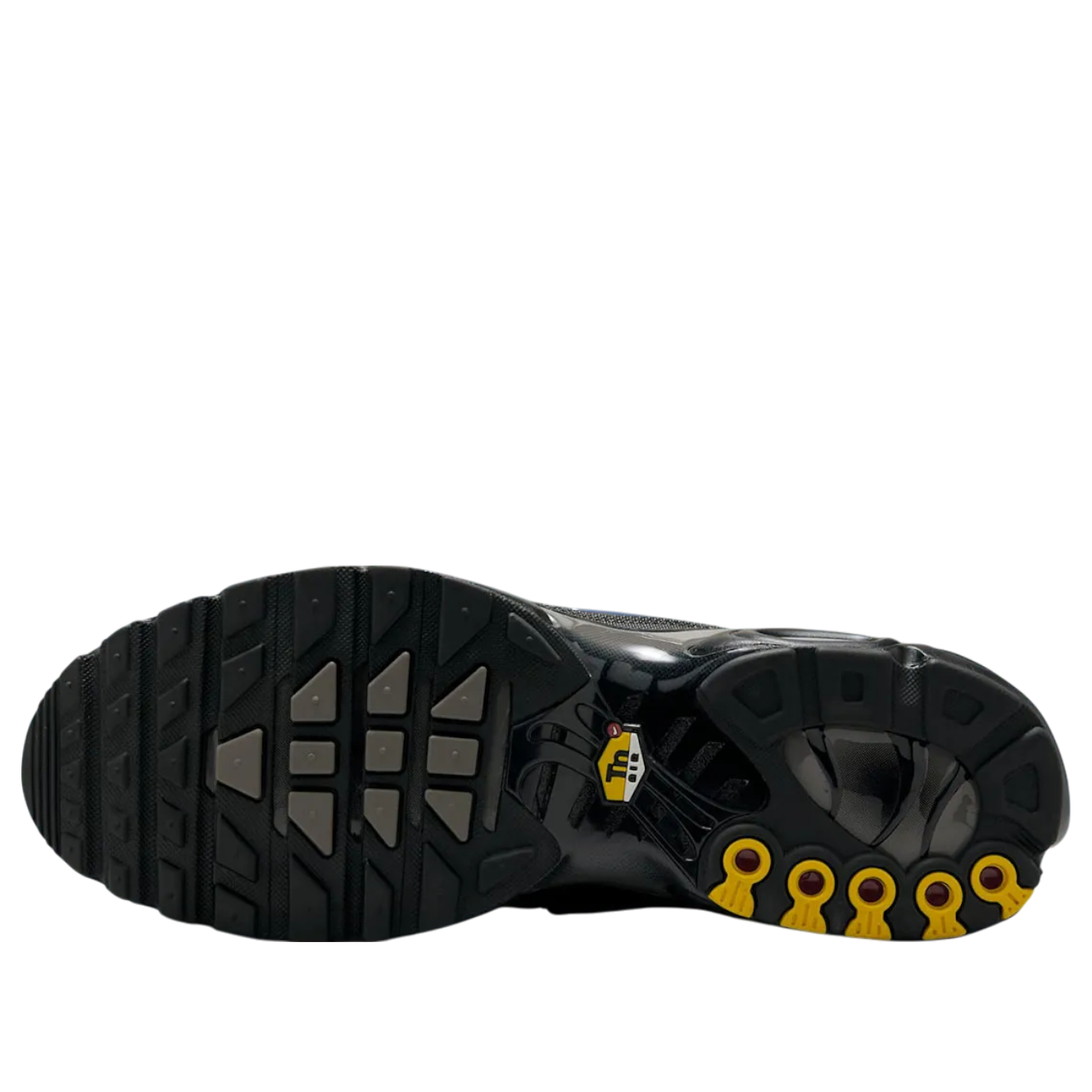 Nike Air Max Plus 'Dark Smoke Grey' DM0032-018