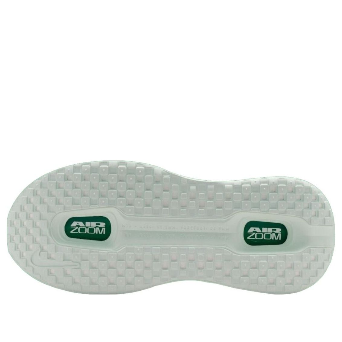 (WMNS) Nike Vomero Premium 'Barely Green' HM5973-300