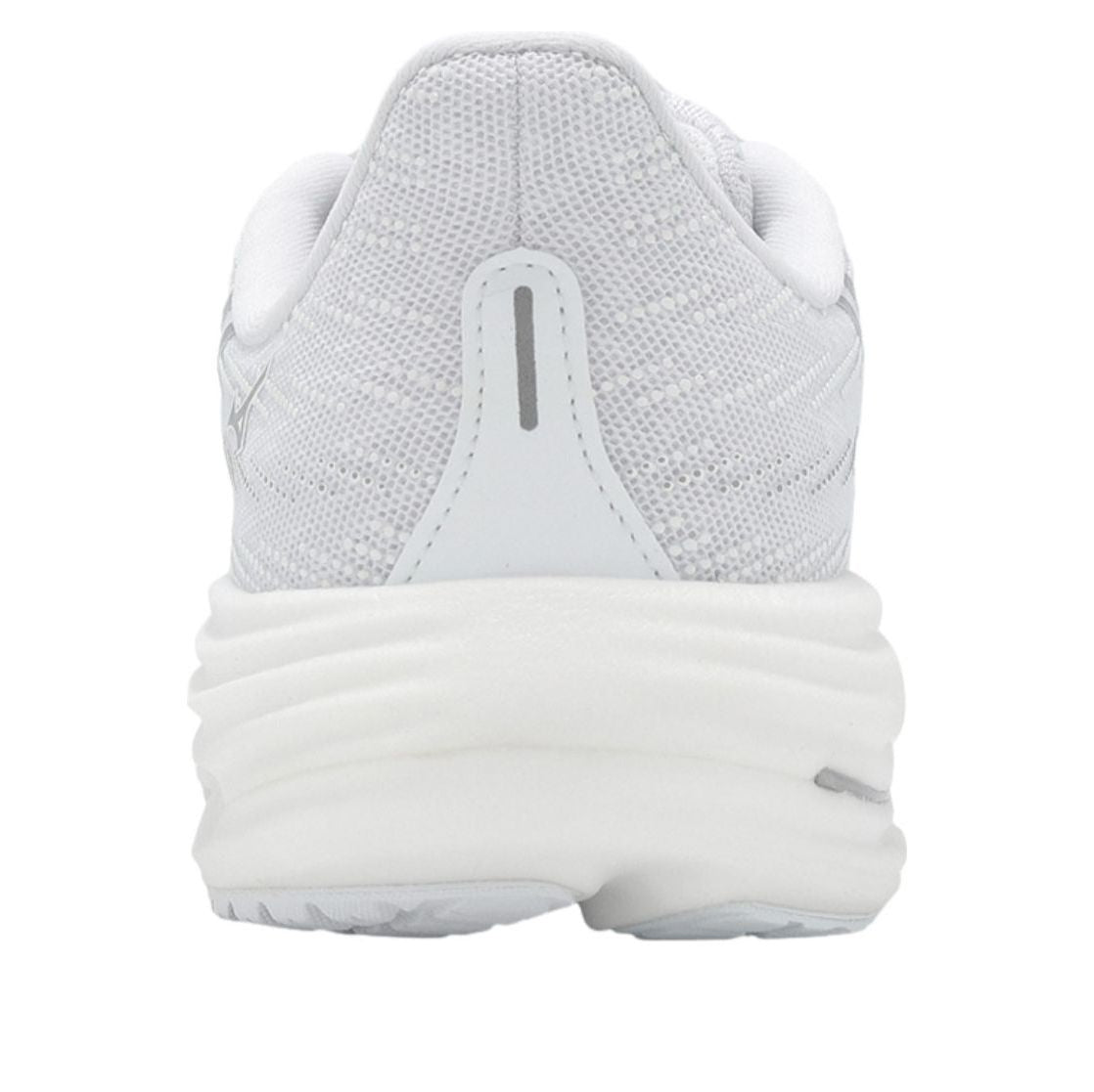 (WMNS) Mizuno Wave Rider 29 Super Wide 'White Silver' J1GD250604