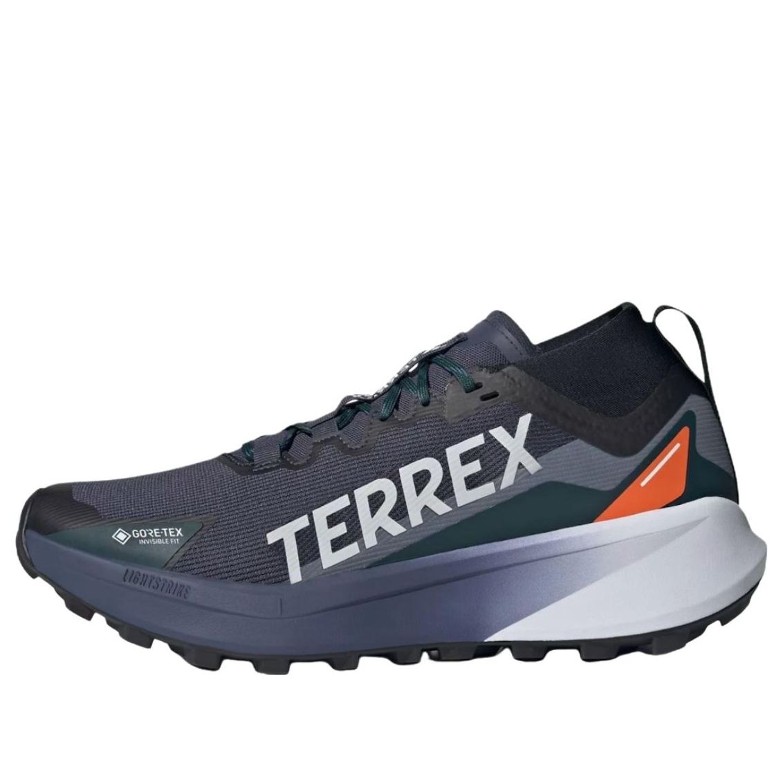adidas Terrex Agravic GTX Trail 'Navy White' JR7784