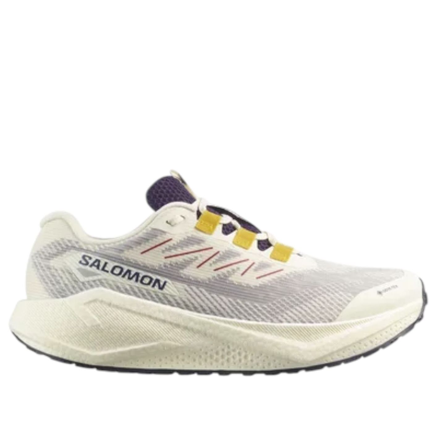 SALOMON Aero Blaze 3 GRVL Gore-Tex 'Vanilla Ice' 479532