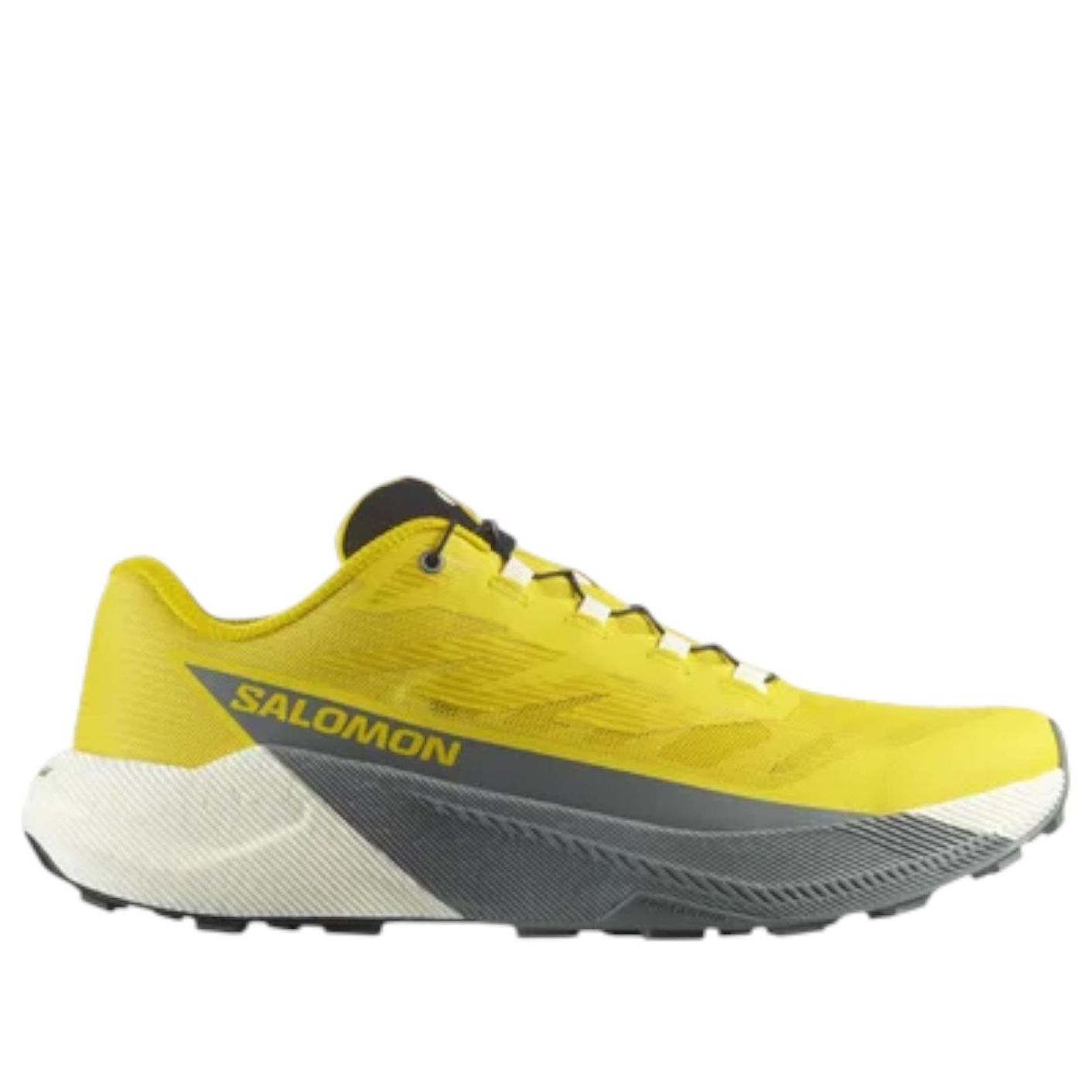 SALOMON Pulsar 'Sedona Sage' 479732