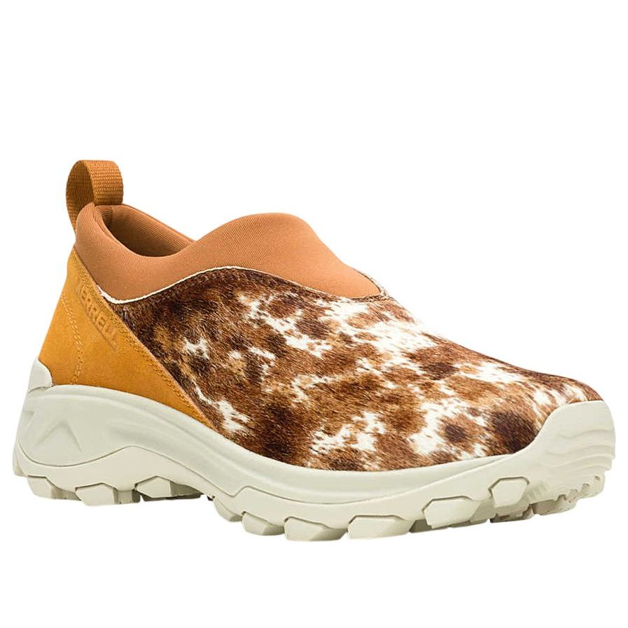 Merrell Winter Moc 3 CH SE 'Spice' J006515