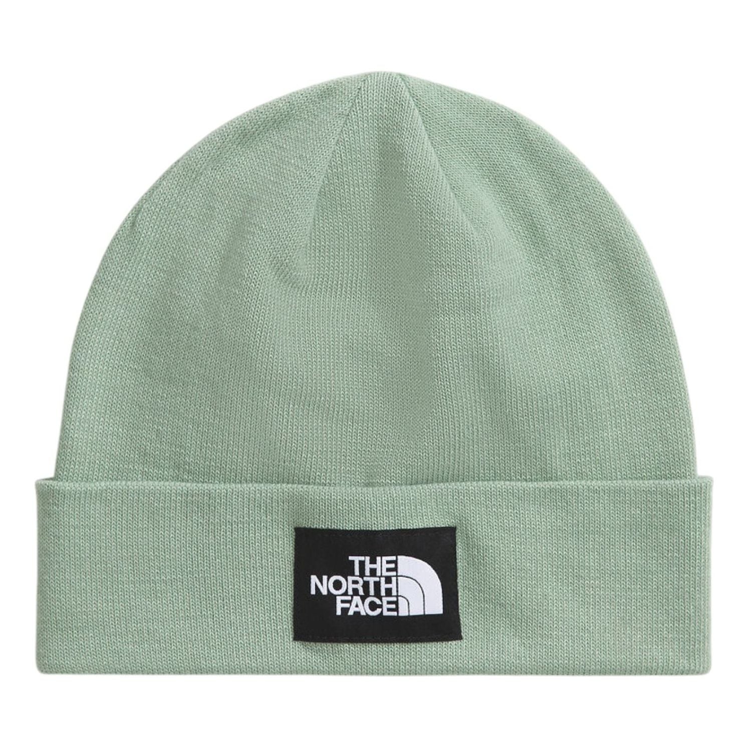 THE NORTH FACE Dock Worker Recycled Beanie 'Slate Moss' NF0A3FNTBQ1