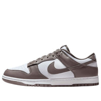 Nike Dunk Low 'Cave Stone' HF5441-111