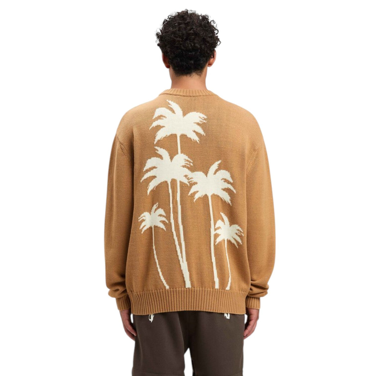 Palm Angels Back Palms Knit Sweater 'Beige Off White' PMHE080S25KNI0016103