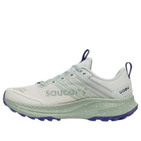 (WMNS) Saucony Ride TR2 GTX 'Quartz Mist' S10953-260