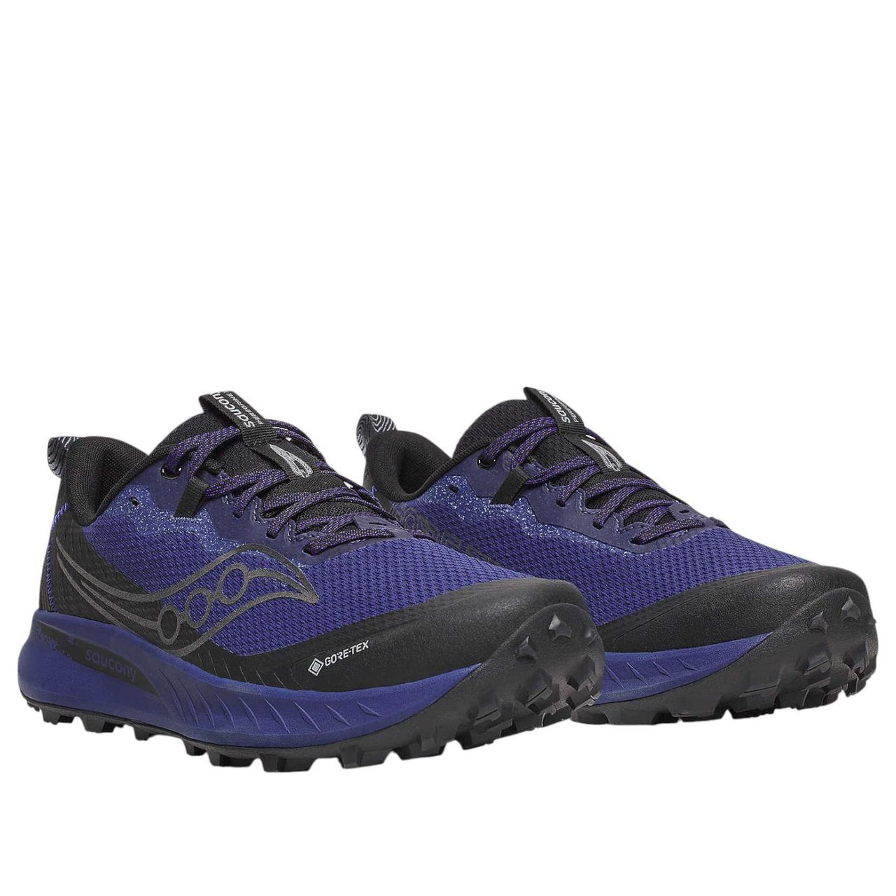 Saucony Peregrine 15 GTX 'Regal Black' S20992-262