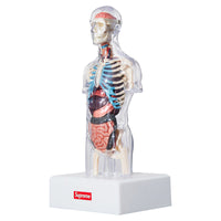 Supreme Anatomy Model Torso Doll Men's SP-FW18A72-M