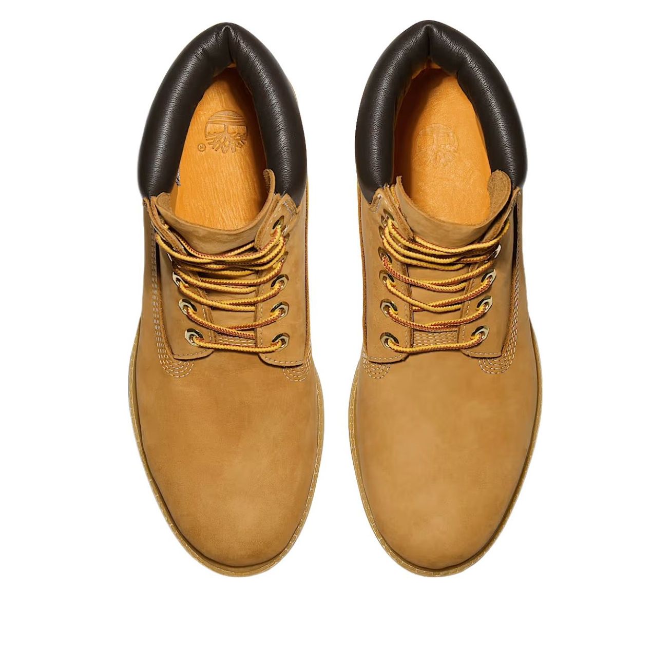 Timberland Premium 6 Inch Waterproof Boot 'Wheat' TB1100617131
