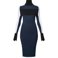 LOUIS VUITTON Color-Blocked Band Dress