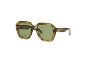 CELINE Acetate Irregular Shape Sunglasses Men's Tortoiseshell