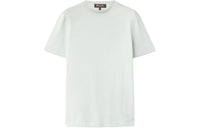 Loro Piana SS24 Regular T Shirt Women's Mint Heather