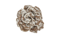SAINT LAURENT Brooch Women's Light Brown