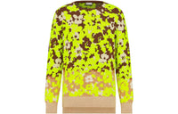 DIOR Quarterly New Products Sweaters Men Yellow