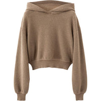 Loro Piana Sweater Women's Brown