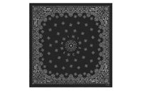 CELINE Silk Scarves Men's Black