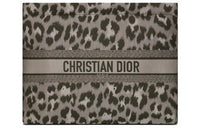 DIOR DiorTravel Technical Fabric Clutch Coin Purse Shoulder Bag Women's Gray
