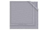 DIOR Knit Scarves Women's Gray