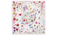 DIOR Silk Scarves Women's Multicolor