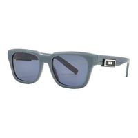 DIOR Acetate Irregular Shape Sunglasses Men's Gray