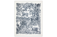 DIOR Shawls Women's