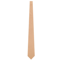 SAINT LAURENT Silk Ties Men's Brown