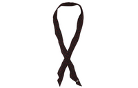SAINT LAURENT Ties Unisex Multicolor