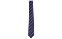 LOUIS VUITTON Ties Men Blue
