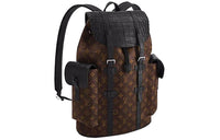 LOUIS VUITTON CHRISTOPHER Crocodile Leather Backpack Men's Brown