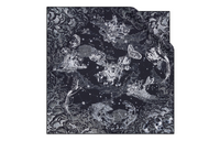 DIOR Mulberry Silk Silk Scarves Women's