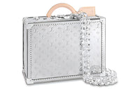 LOUIS VUITTON Canvas Travel Bag Handheld Hard Case Unisex Silver