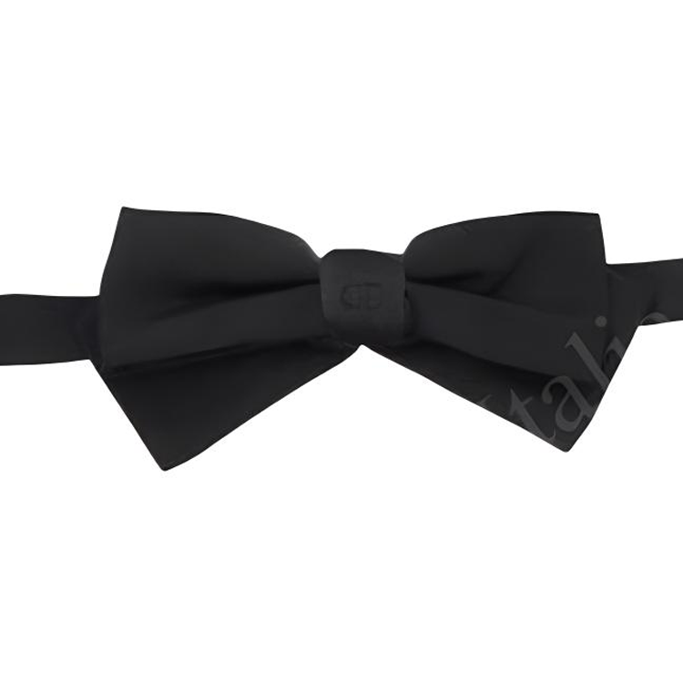 DIOR Logo Embroidered Bow Tie