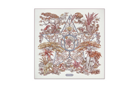 DIOR Silk Scarves Women's Beige/Pink