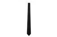 LOUIS VUITTON Evening Tie
