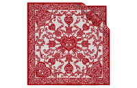 DIOR Mulberry Silk Silk Scarves Women's
