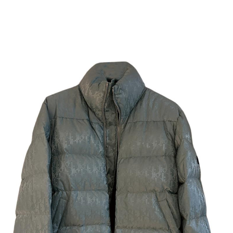 DIOR Down Jacket Men's Gray Green