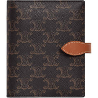 CELINE Triomphe Calfskin Storage Bag Men's Brown & Multicolor