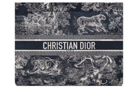 DIOR Travel Technical Fabric Coin Purse, Shoulder Bag, Clutch Regular Women's Blue