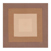 SAINT LAURENT Silk Silk Scarves Men's Brown