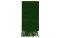 Loro Piana Knit Scarves Baby Green