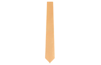 LOUIS VUITTON Ties Women's Yellow